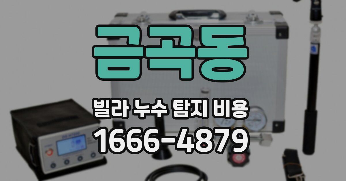 금곡동 빌라 누수 탐지 비용