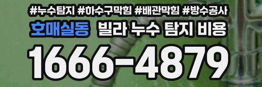 호매실동 빌라 누수 탐지 비용