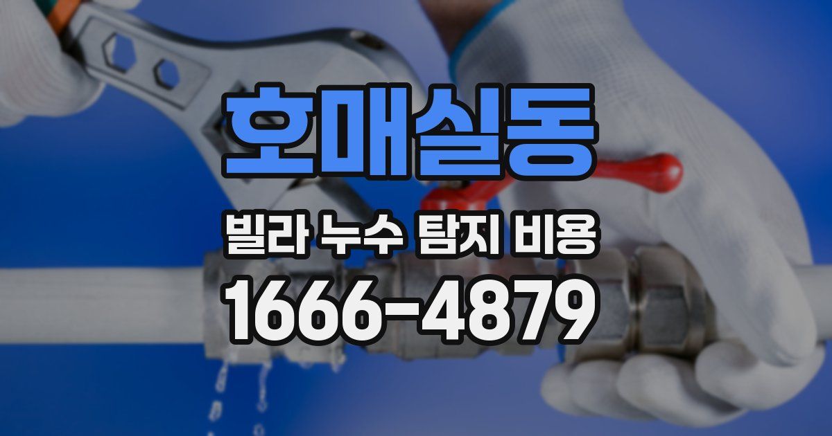호매실동 빌라 누수 탐지 비용