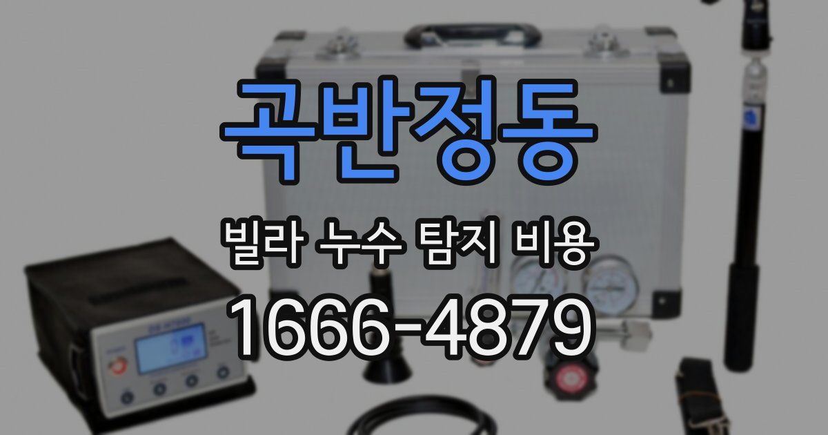 곡반정동 빌라 누수 탐지 비용