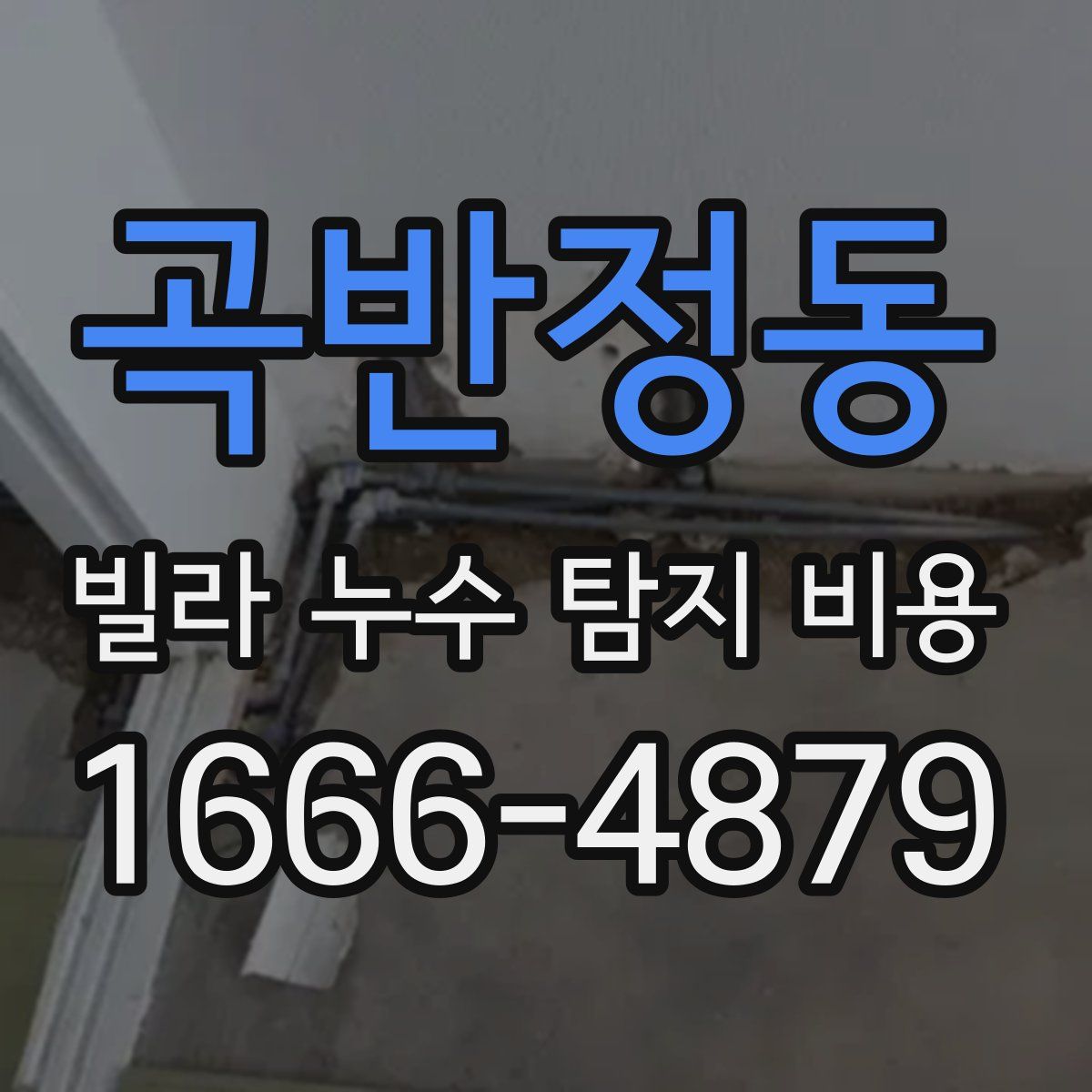 곡반정동 빌라 누수 탐지 비용