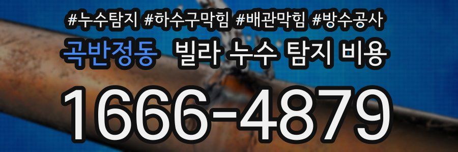 곡반정동 빌라 누수 탐지 비용