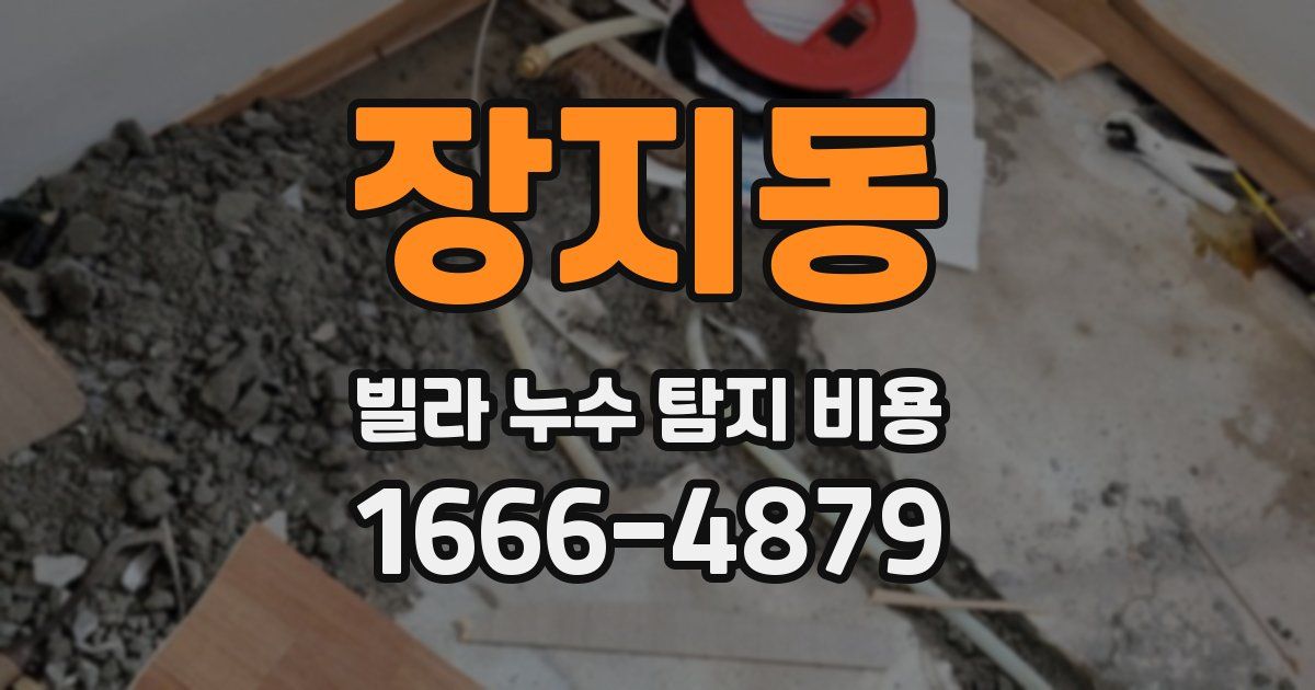 장지동 빌라 누수 탐지 비용