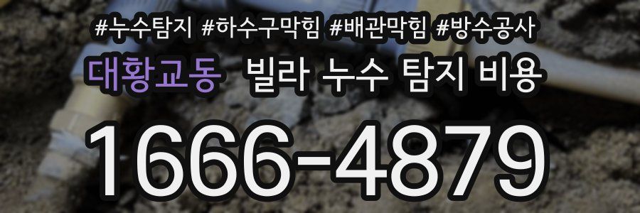 대황교동 빌라 누수 탐지 비용