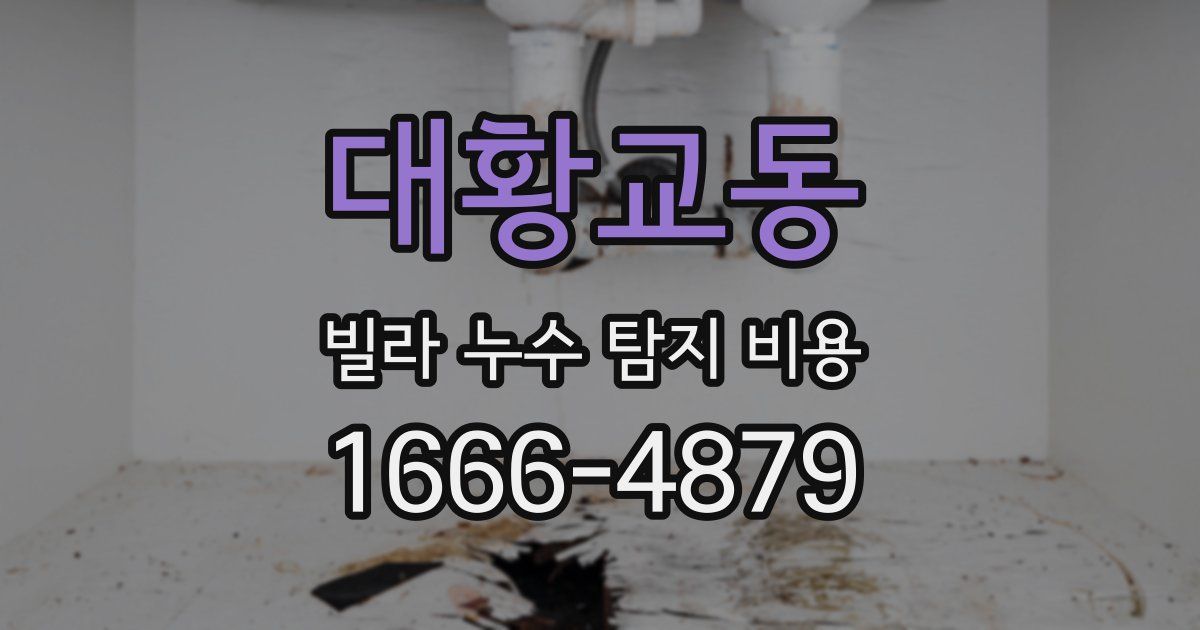 대황교동 빌라 누수 탐지 비용