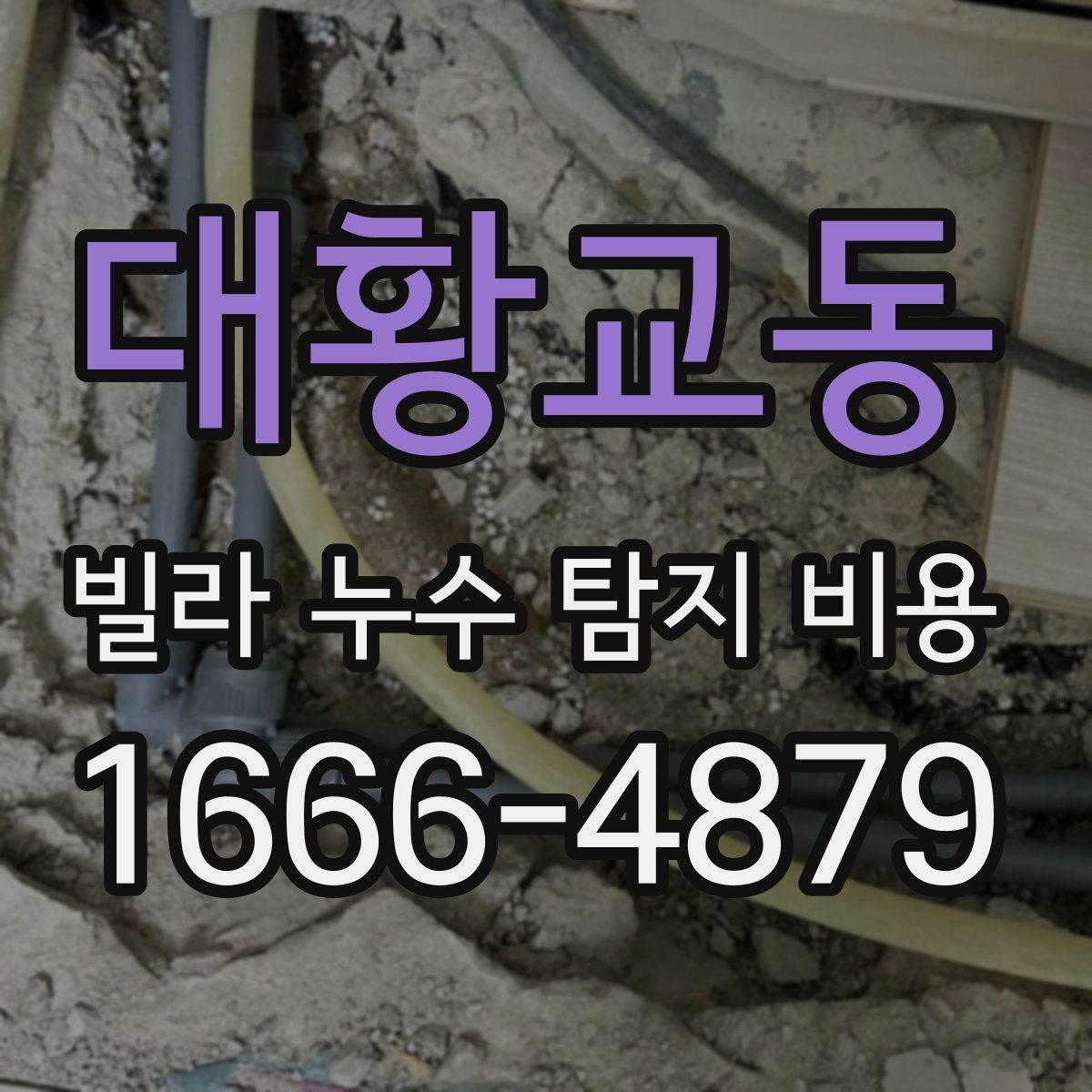 대황교동 빌라 누수 탐지 비용