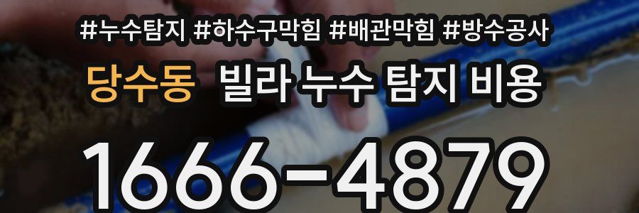 당수동 빌라 누수 탐지 비용