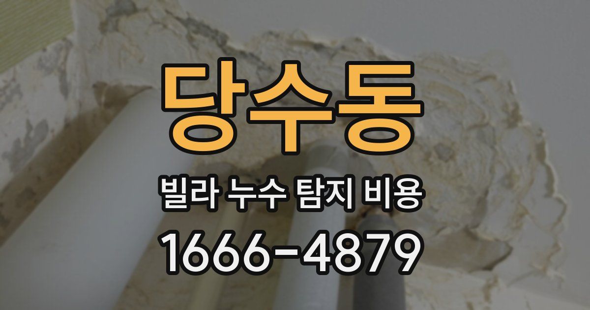 당수동 빌라 누수 탐지 비용