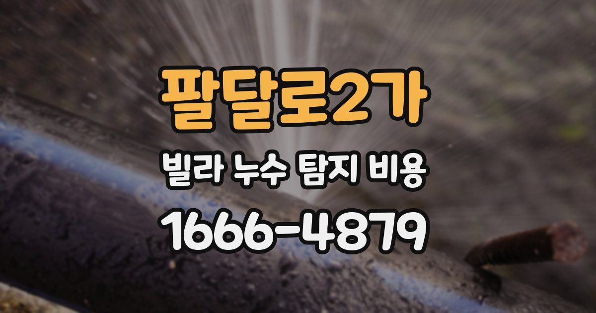 팔달로2가 빌라 누수 탐지 비용