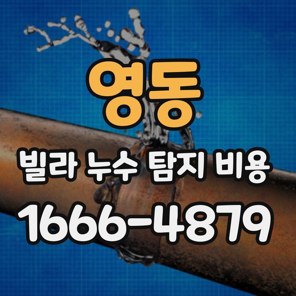 영동 빌라 누수 탐지 비용