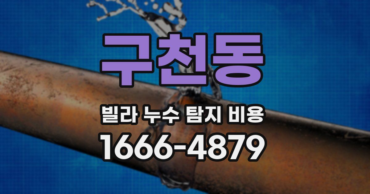 구천동 빌라 누수 탐지 비용