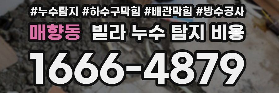 매향동 빌라 누수 탐지 비용