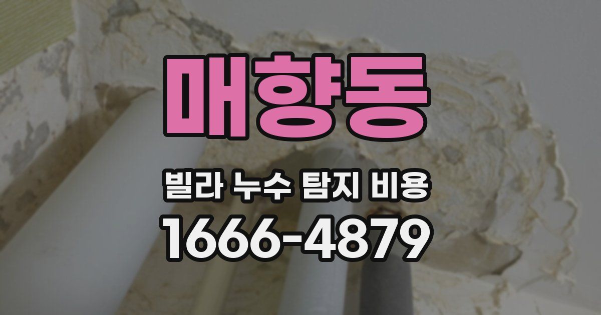 매향동 빌라 누수 탐지 비용