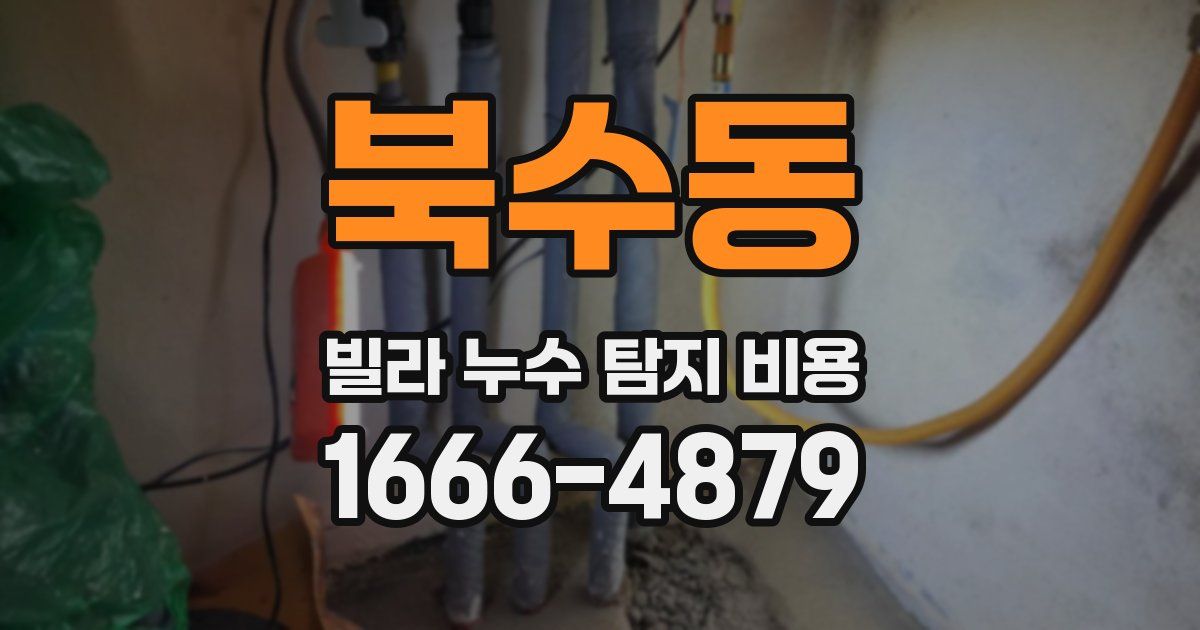 북수동 빌라 누수 탐지 비용