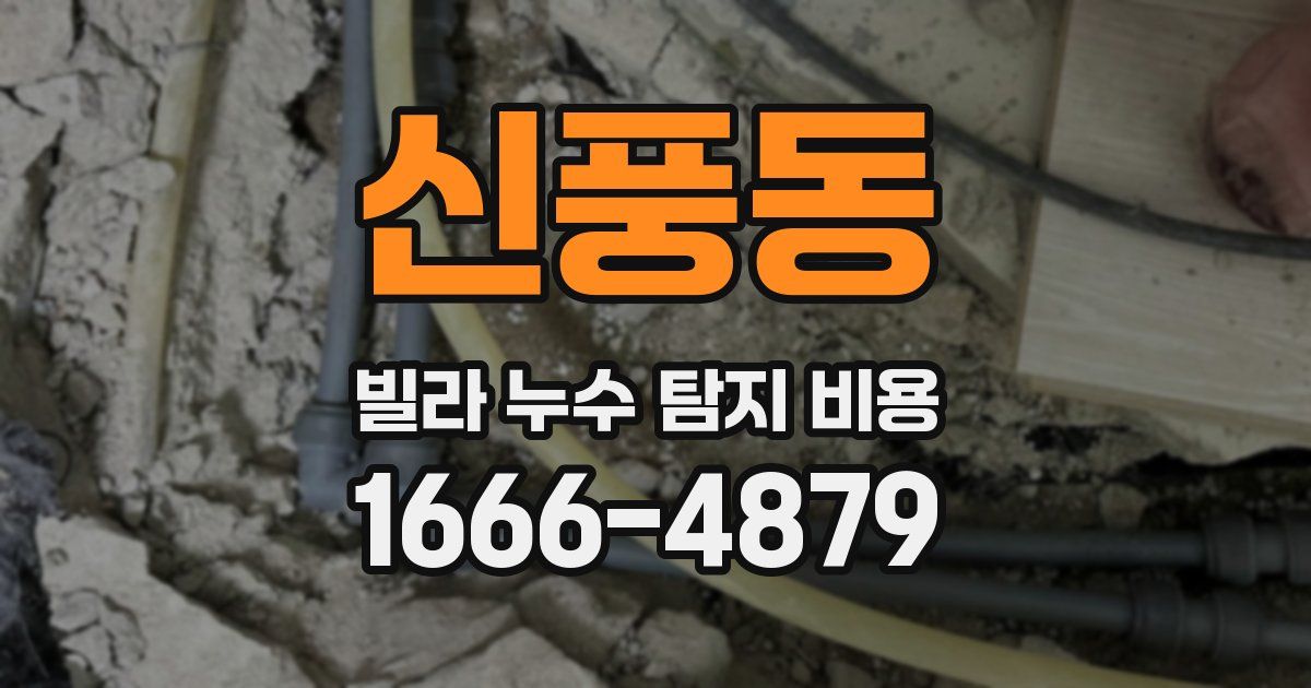 신풍동 빌라 누수 탐지 비용