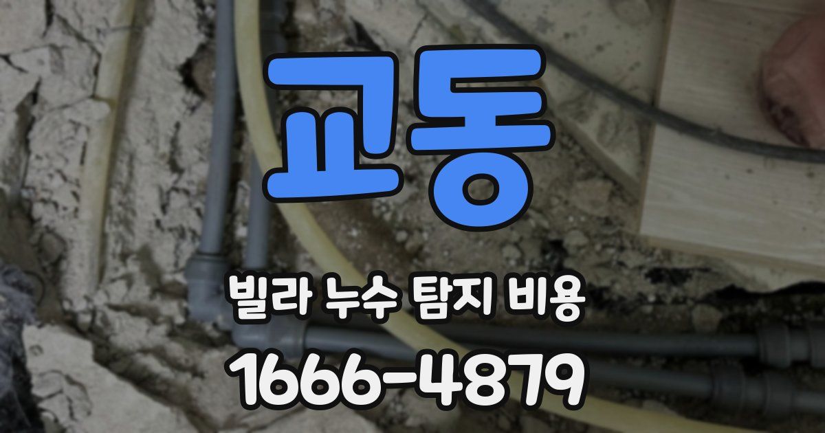 교동 빌라 누수 탐지 비용