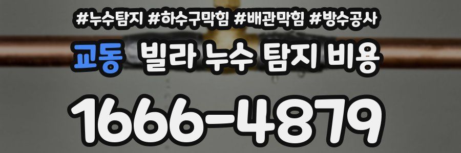 교동 빌라 누수 탐지 비용