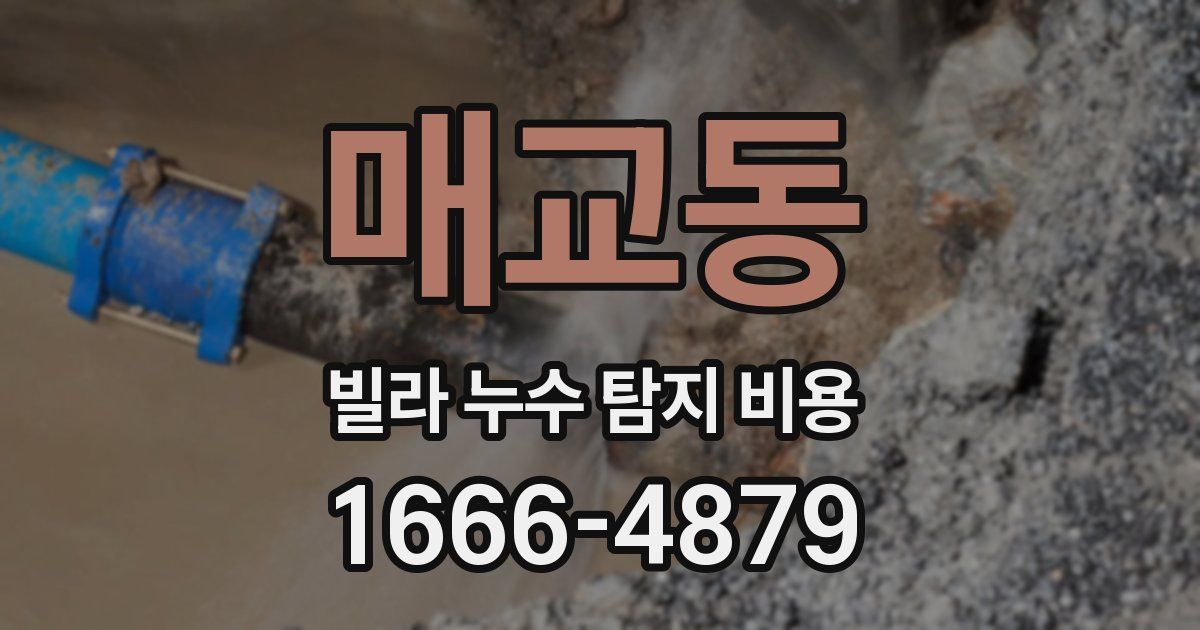 매교동 빌라 누수 탐지 비용