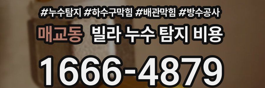 매교동 빌라 누수 탐지 비용