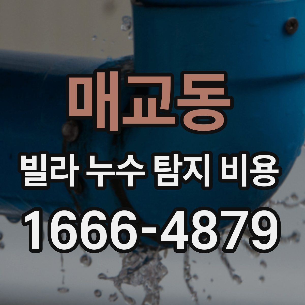 매교동 빌라 누수 탐지 비용