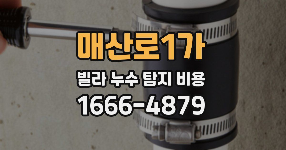 매산로1가 빌라 누수 탐지 비용