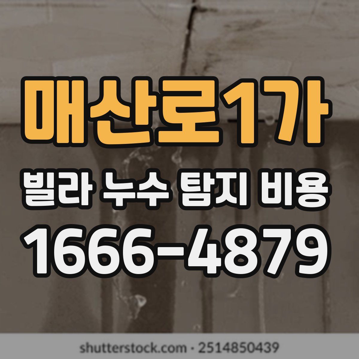 매산로1가 빌라 누수 탐지 비용