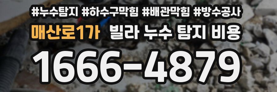 매산로1가 빌라 누수 탐지 비용