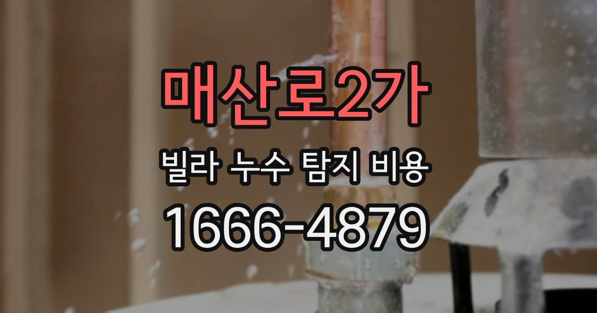 매산로2가 빌라 누수 탐지 비용