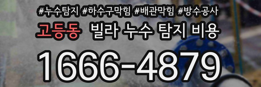 고등동 빌라 누수 탐지 비용