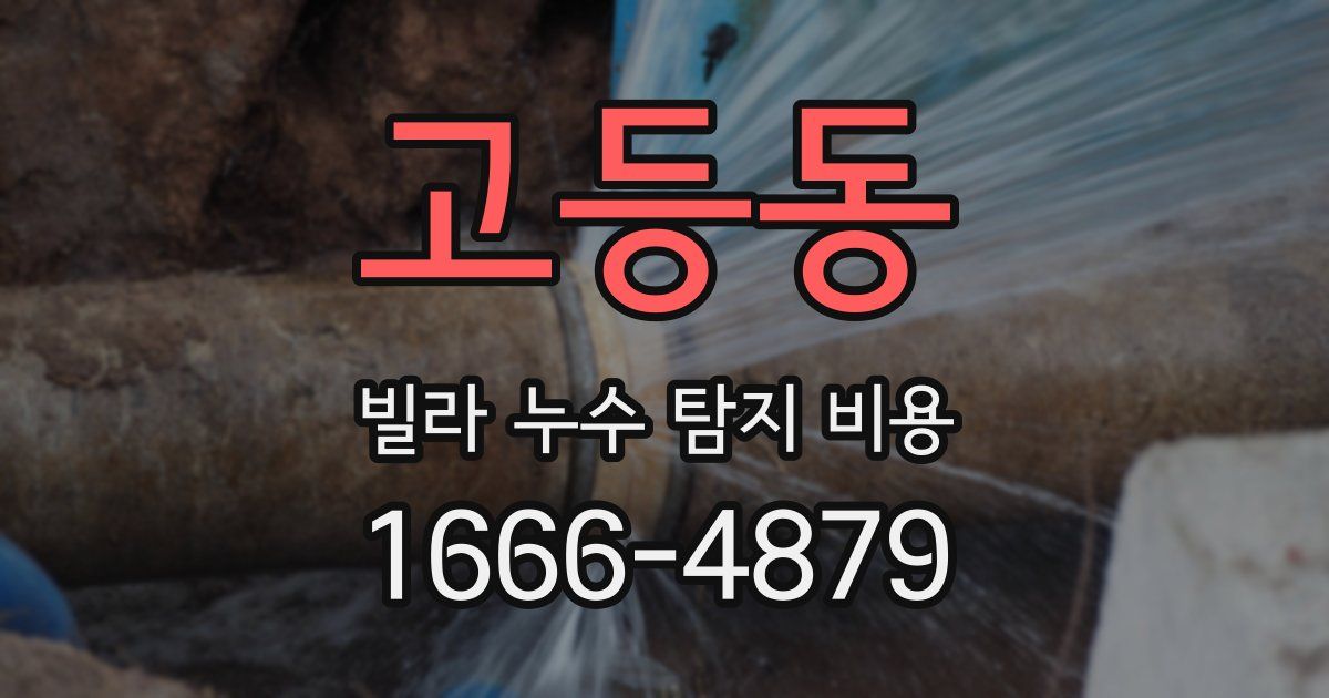 고등동 빌라 누수 탐지 비용