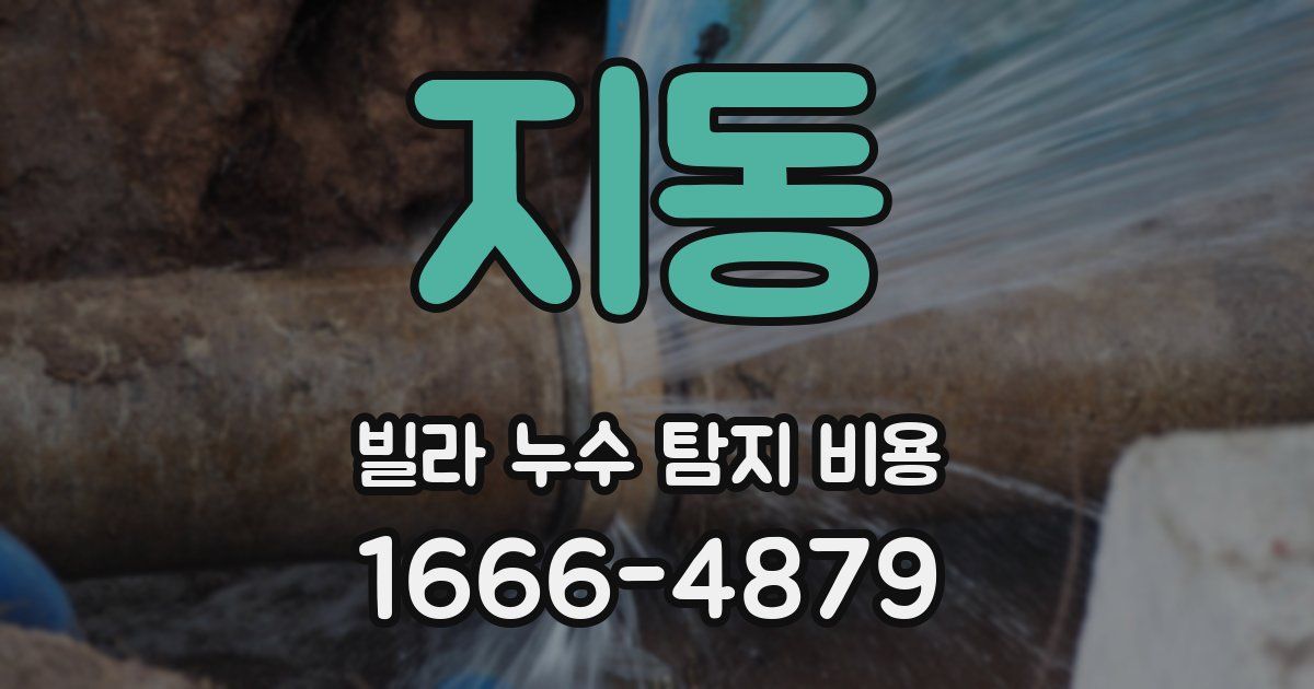 지동 빌라 누수 탐지 비용