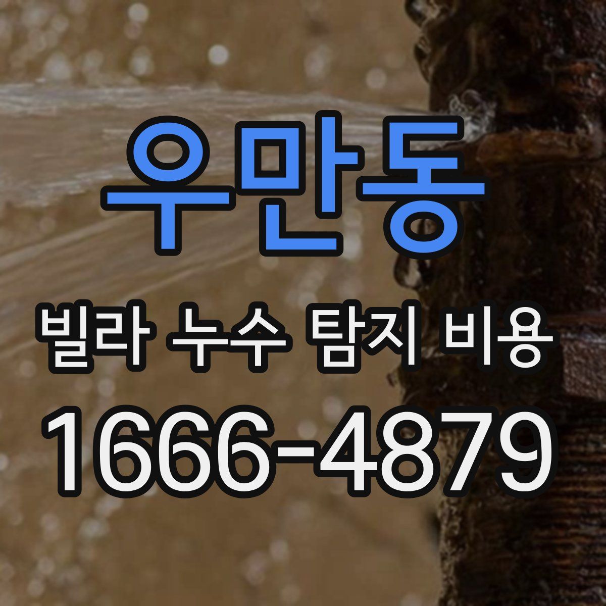 우만동 빌라 누수 탐지 비용