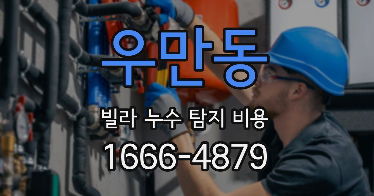 우만동 빌라 누수 탐지 비용