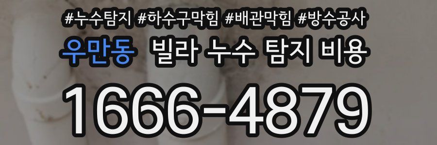 우만동 빌라 누수 탐지 비용