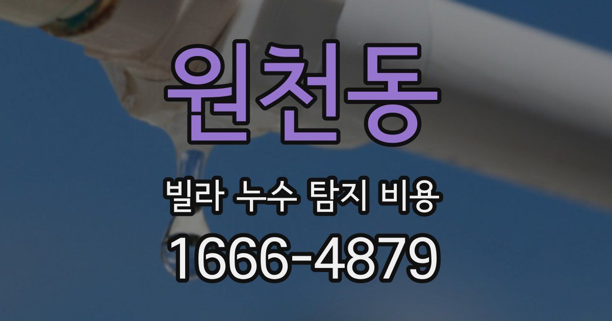 원천동 빌라 누수 탐지 비용