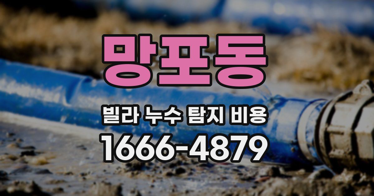 망포동 빌라 누수 탐지 비용