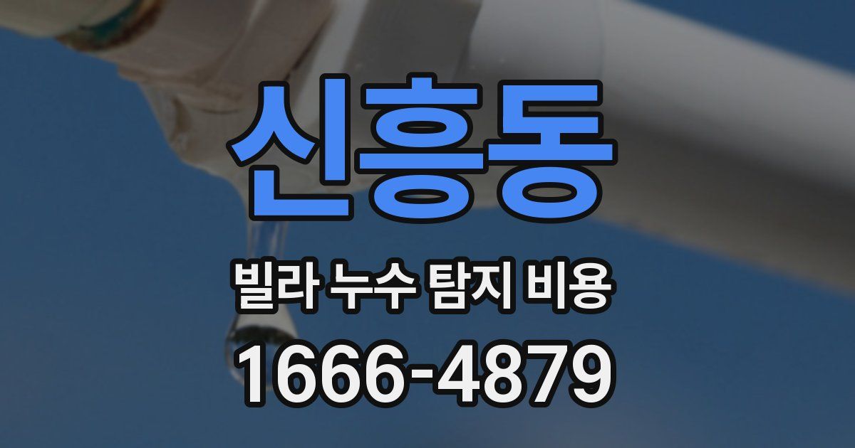 신흥동 빌라 누수 탐지 비용