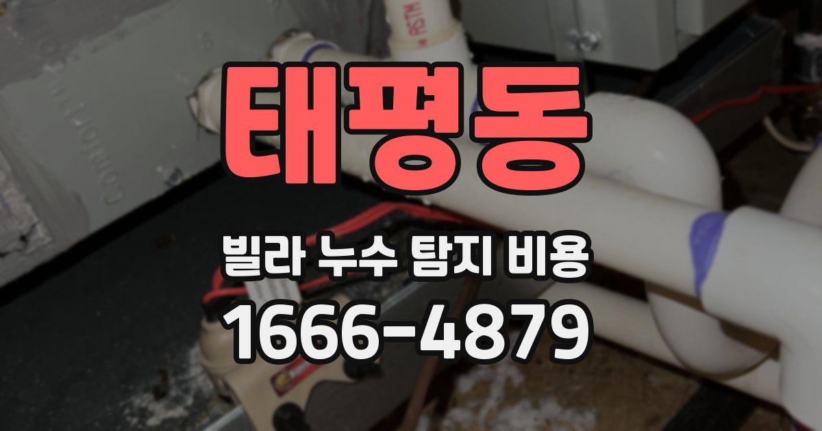 태평동 빌라 누수 탐지 비용