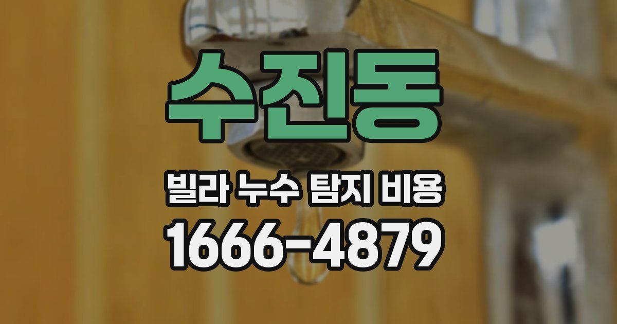 수진동 빌라 누수 탐지 비용