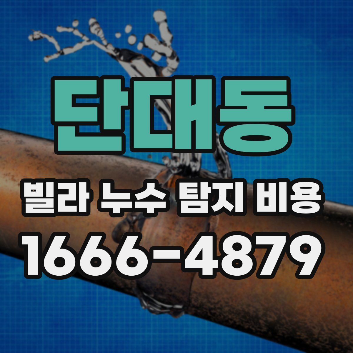 단대동 빌라 누수 탐지 비용
