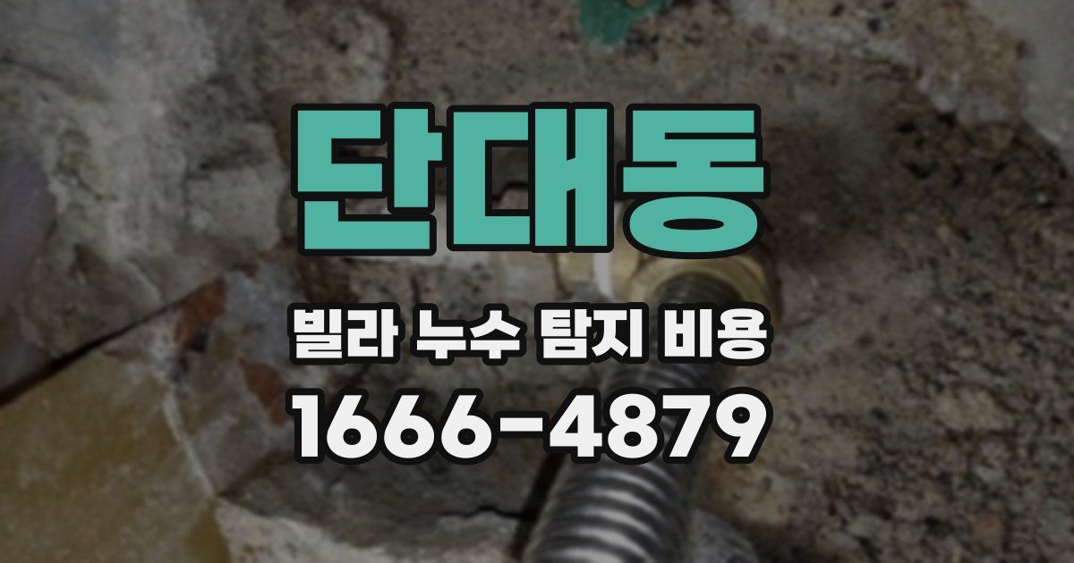 단대동 빌라 누수 탐지 비용