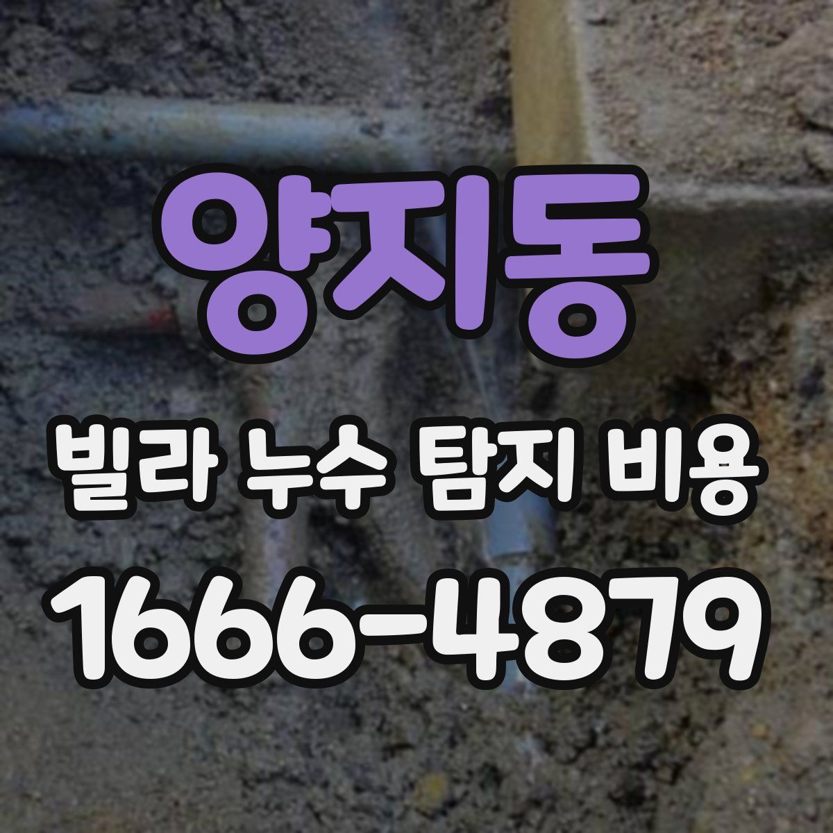 양지동 빌라 누수 탐지 비용