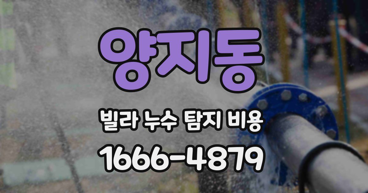 양지동 빌라 누수 탐지 비용