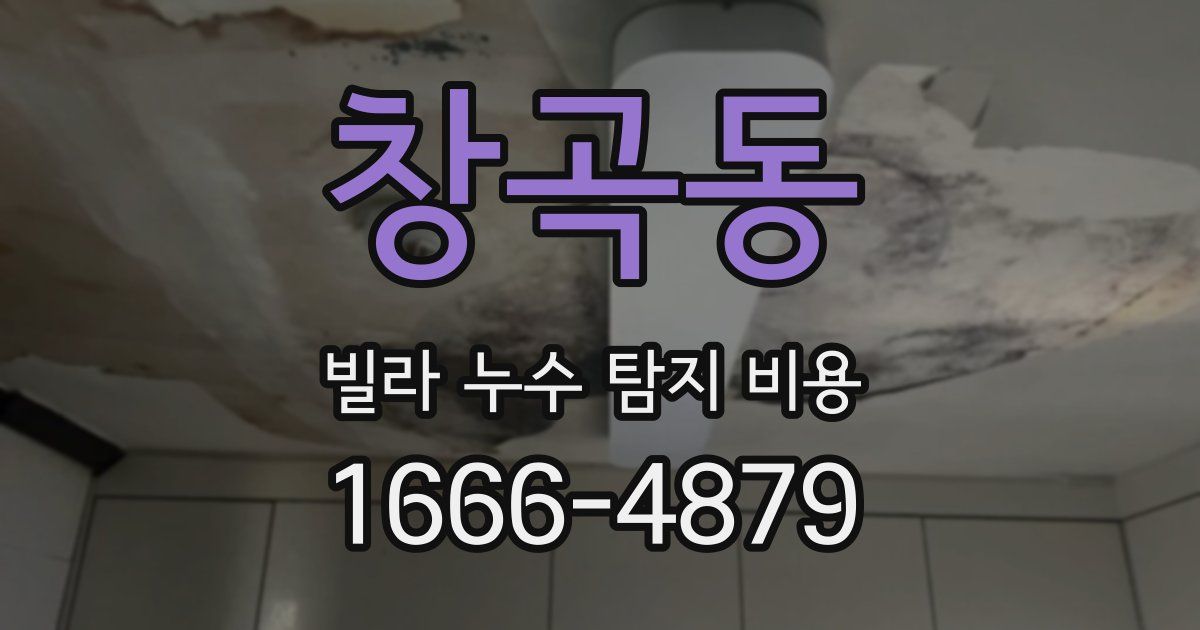 창곡동 빌라 누수 탐지 비용