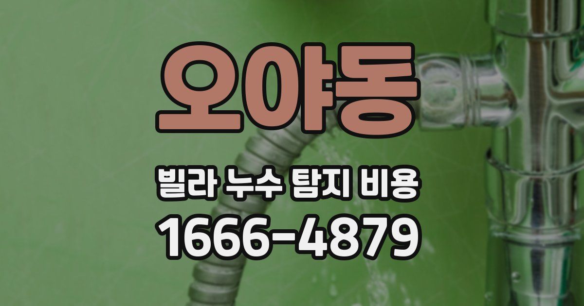 오야동 빌라 누수 탐지 비용