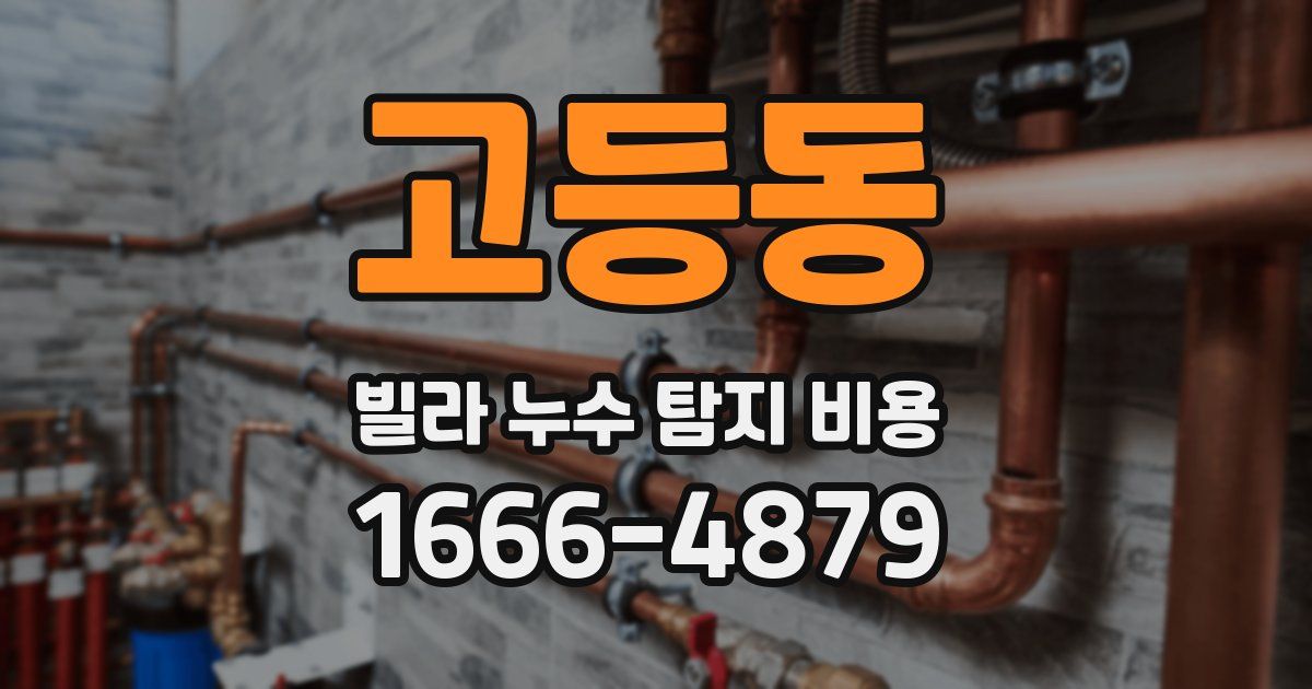고등동 빌라 누수 탐지 비용