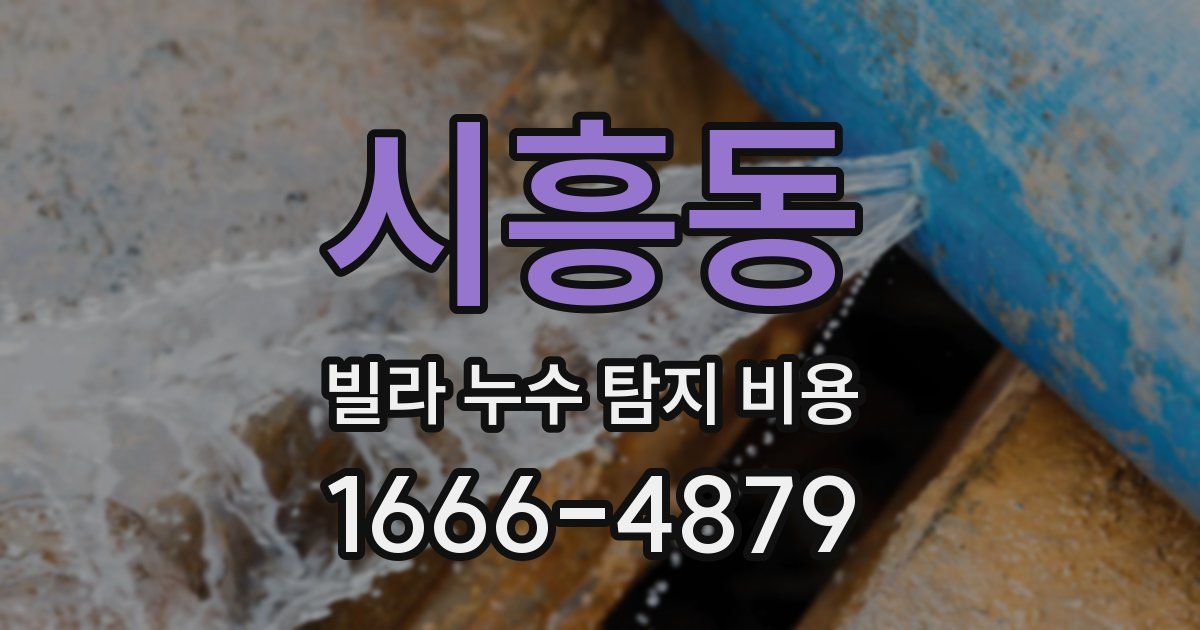 시흥동 빌라 누수 탐지 비용