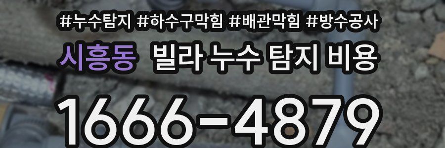 시흥동 빌라 누수 탐지 비용