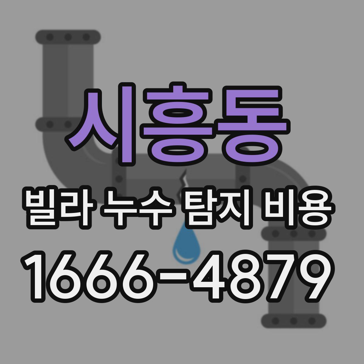 시흥동 빌라 누수 탐지 비용