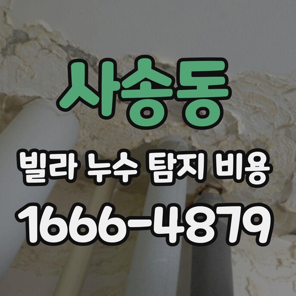 사송동 빌라 누수 탐지 비용